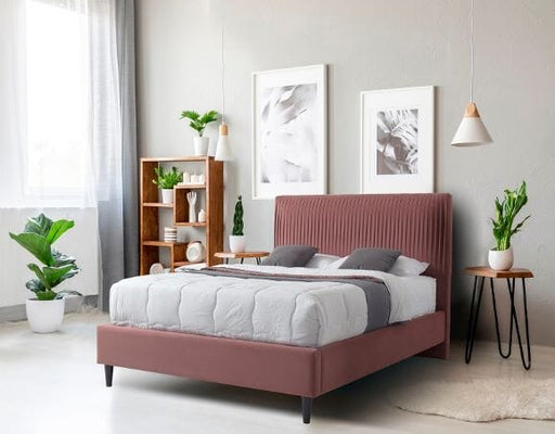 Lyla 4'6" Bed - Blush Bed Frame FP 