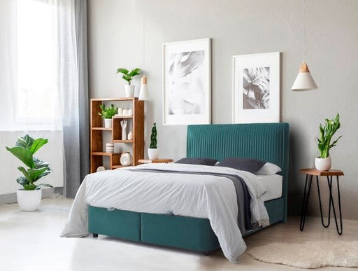 Lyla 5' Storage Bed - Green Bed Frame FP 