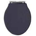 Yale Soft Close Toilet Seat Twilight Blue Supplier 141 