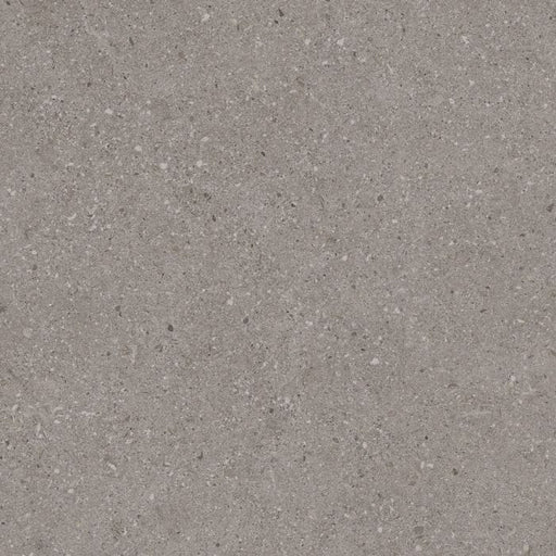 Balance Grey Matte 450x450 Tiles Supplier 167 